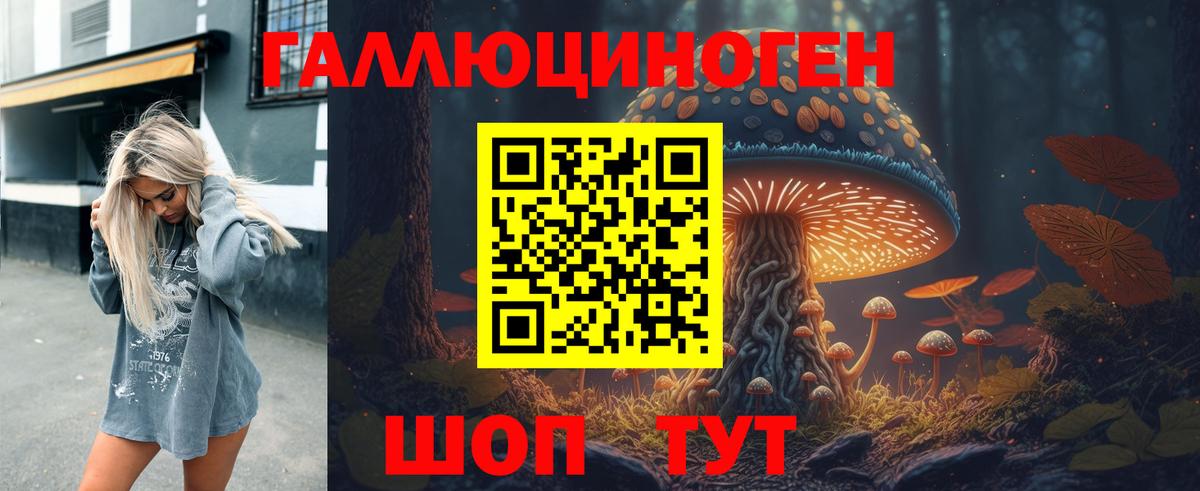 Галлюциногенные грибы Psilocybe  Вход с VPN  Кириши 
