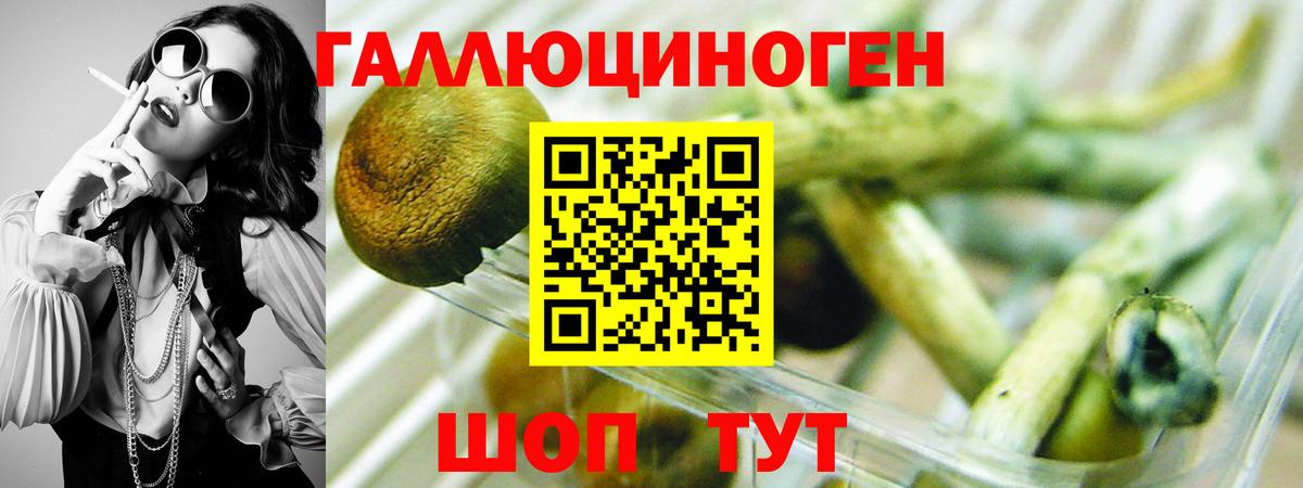 Псилоцибиновые грибы прущие грибы Кириши